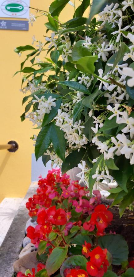 Mediterranean Concept House Hotel La Spezia Exterior foto